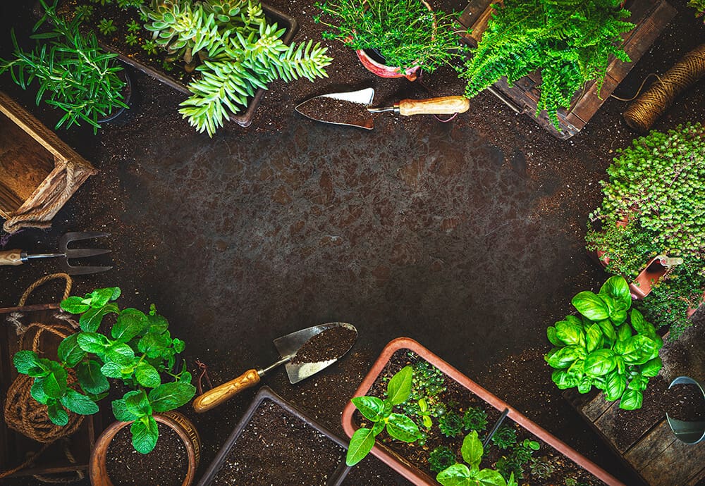 Spring Garden Ideas for Full-Time RVers